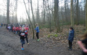 5b2bbbc34f943_DSCF2194.JPG