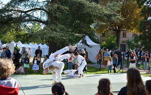 68c42790c0dc0_DSC0378.JPG